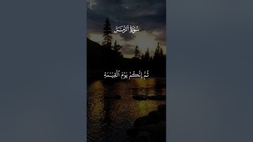 #ماهر_المعيقلي #سورة_الزمر #لايك #اكسبلور #قرآن #راحة_نفسية