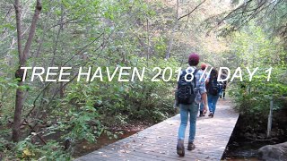 Full TREE HAVEN DAY 1 Guide