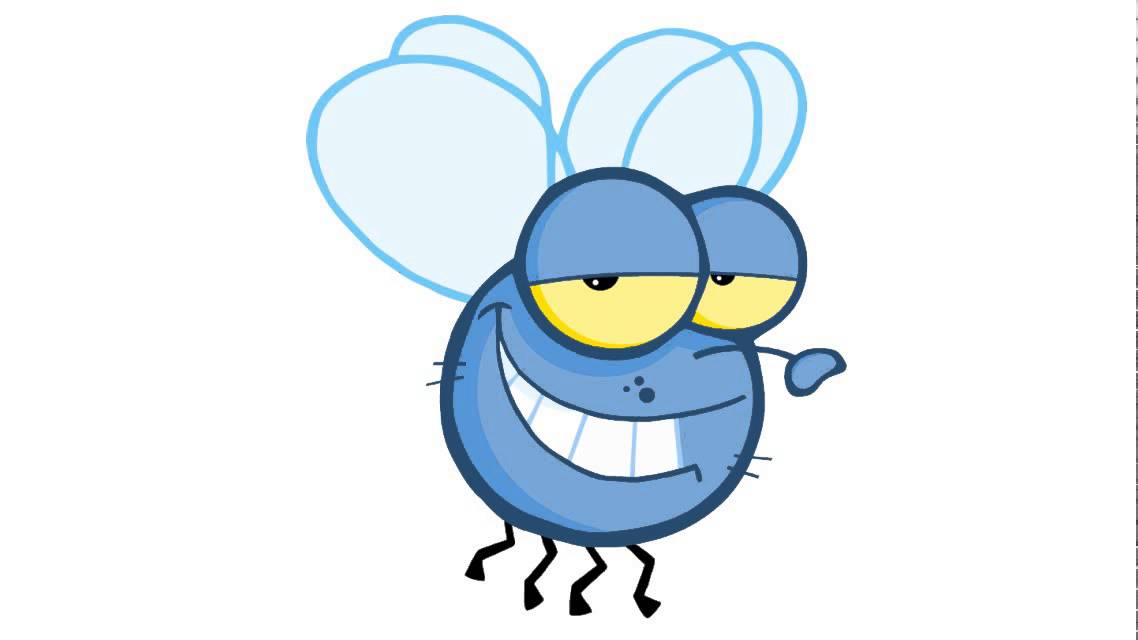 Come disegnare una mosca blu - YouTube