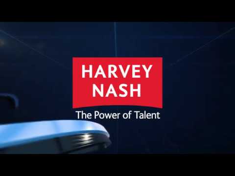 Harvey Nash in Zahlen