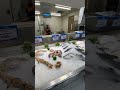 Fish Market in Dubai