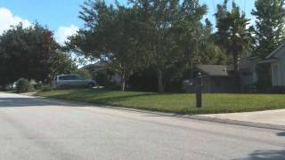 [Longboarding] - Spring sessions