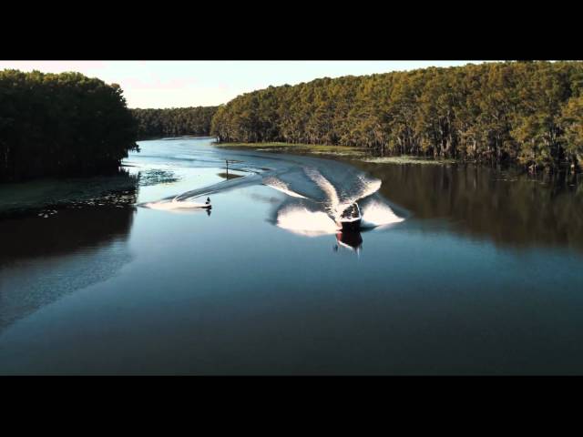 20 фильмов про акул, атаки и нападения на людей 18 Видео