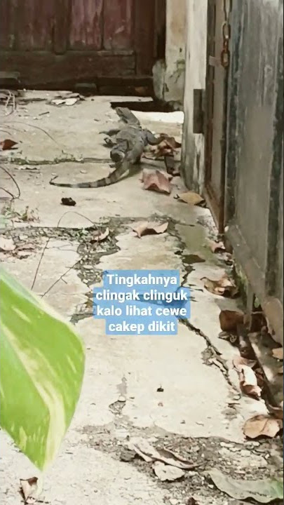Mirip laki laki, clingak clinguk lihat cewek cakep dikit #short #shorts #shortsvideo #youtubeshorts