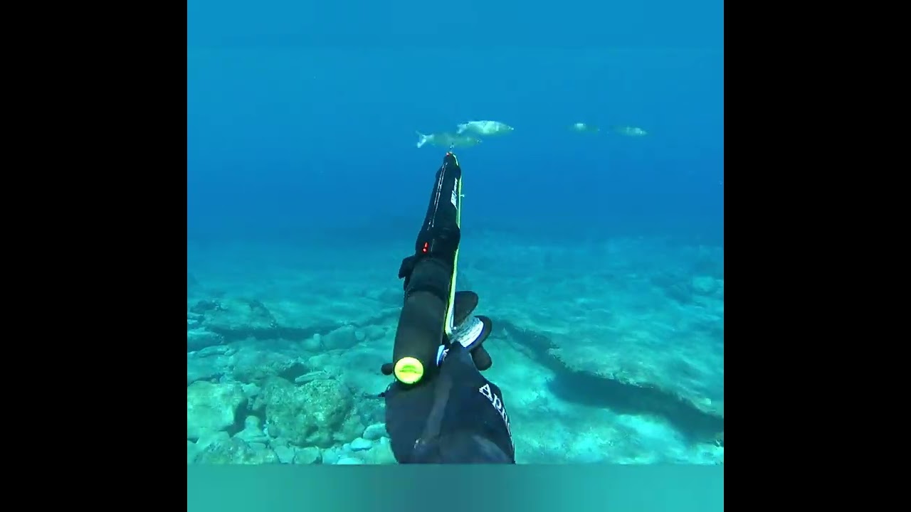 Pneumatic speargun 23/9/2025