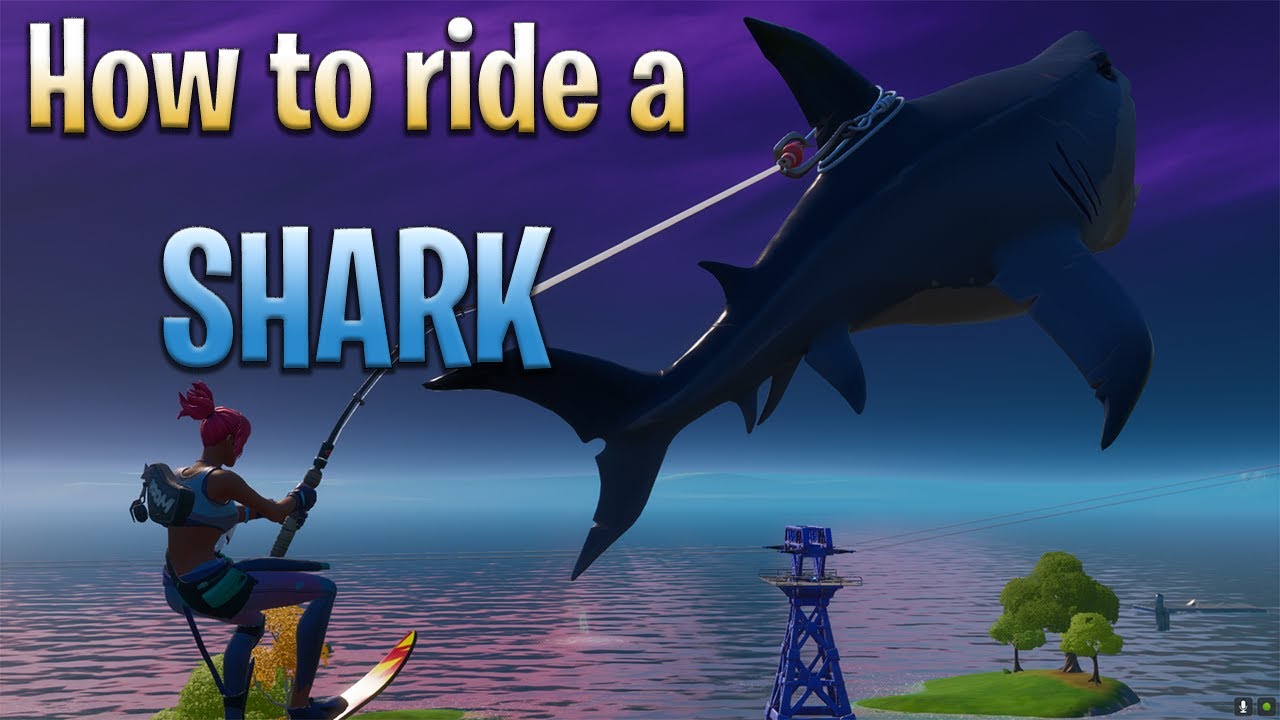 How to ride a SHARK | FORTNITE SEASON 3 - YouTube