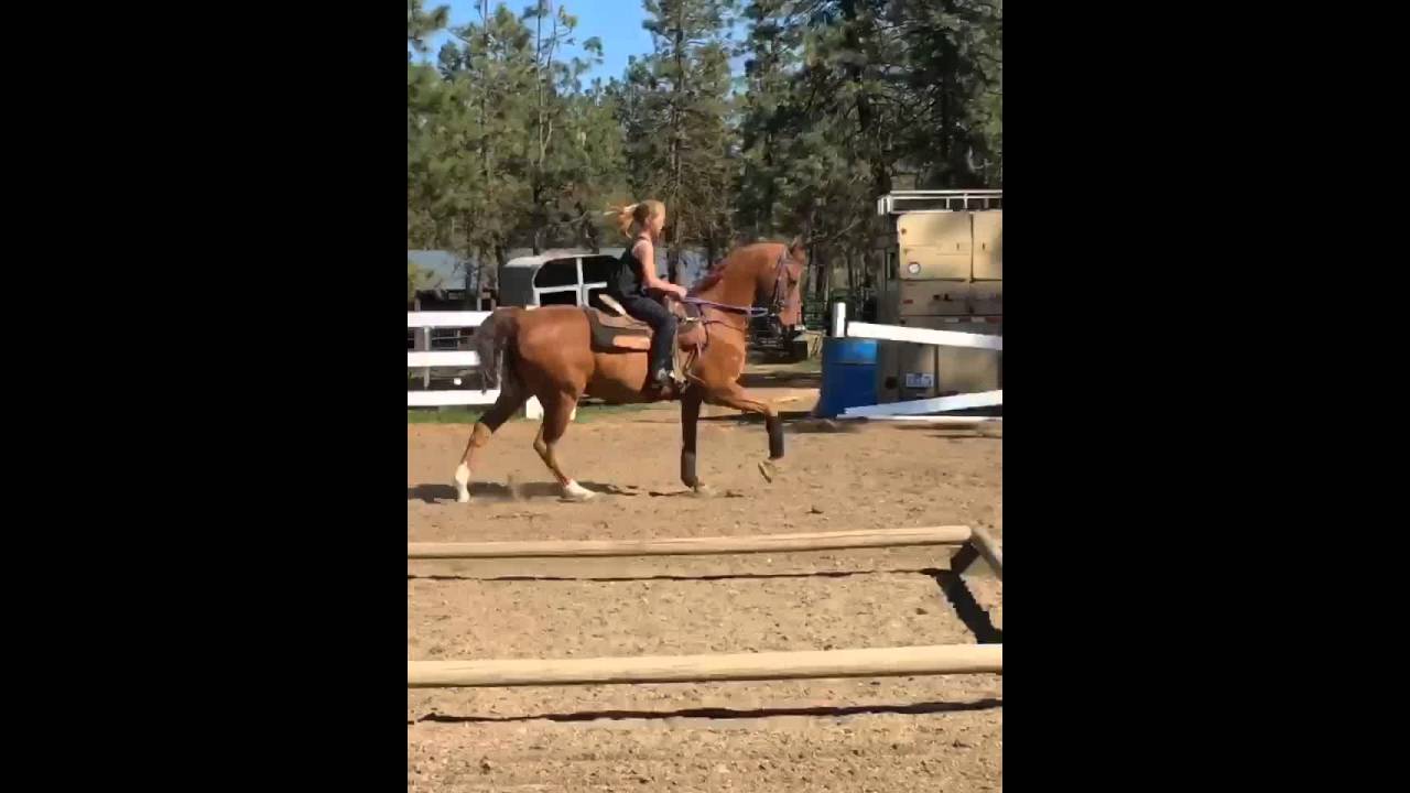 Grace Stimson Cyster/Count