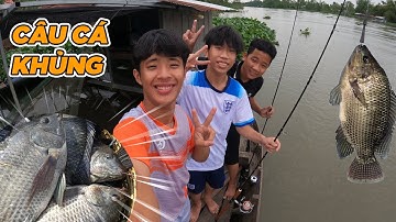 Ngáo TV/ Đi Câu Cá Khủng Ở Giữa Sông Cùng Thành Viên Mới