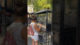 Meryemana Evi-Selçuk-İzmir Mery House