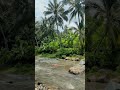 #nature #lovethenatureshorts #credittoowner