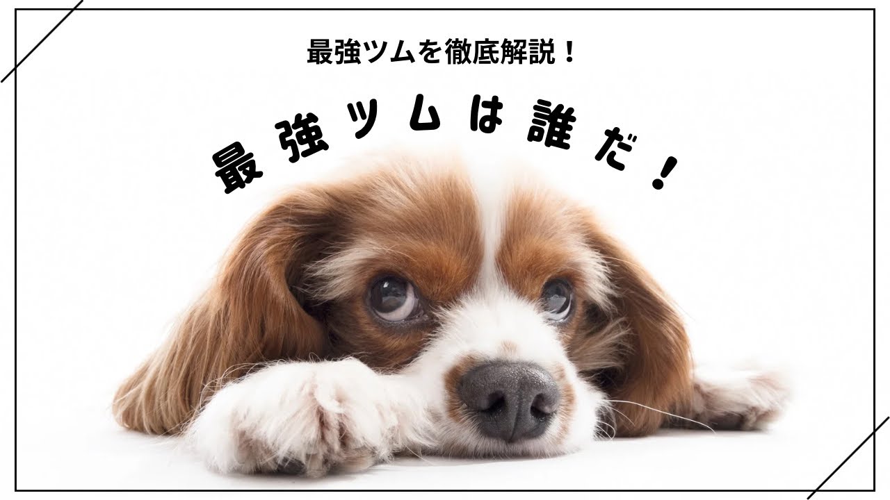 最強ツムは誰だ！ #ツムツムコイン無限入手方法 #つむつむ #チート #つむチート #ツムツムチート - YouTube