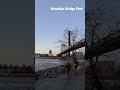 Perfect NYC Skyline Spot in Brooklyn #manhattan #travel #shorts