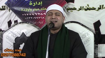 القارئ محمد ممدوح علي