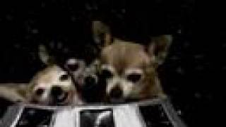 Watch Attack of the 50 Foot Chihuahuas from Outer Space Trailer