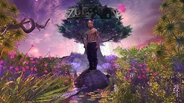 Nasty C, Tellaman   Zone Visualizer   NastyCVEVO 1080p, h264, youtube