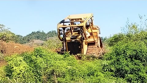 The easiest way to clean abandoned plantations The most appropriate CAT DOZER D6R XL