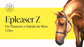 Epleaser Z - Zangersheide Stallion Presentation 2023