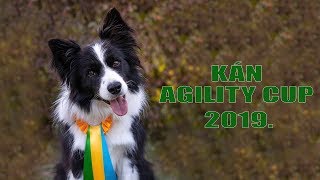 KÁN Agility Cup 2019 by Little Riley 515 views 4 years ago 2 minutes, 16 seconds