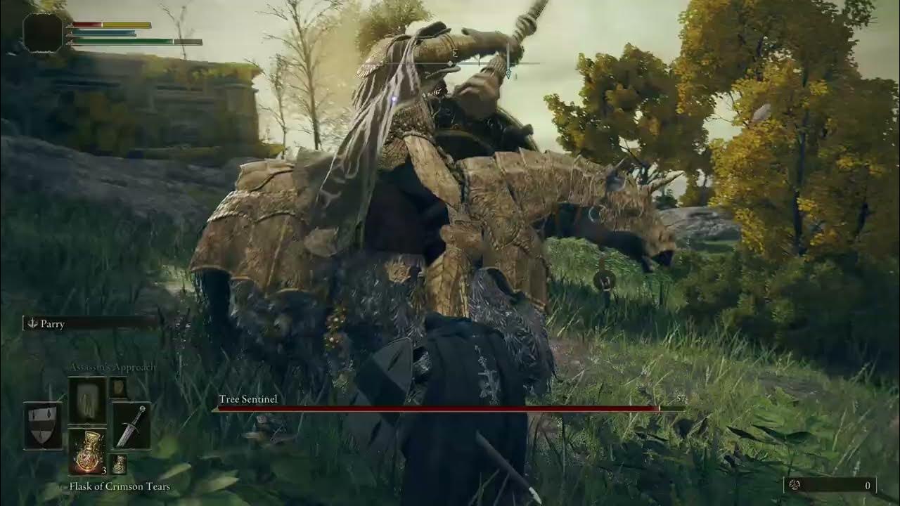 Elden Ring pc stuttering and freezes when fighting Tree Sentinel YouTube