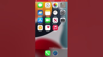 Weird Smart Invert Glitch and Lag on #ios15