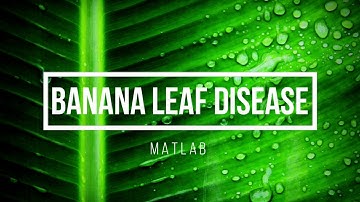 Banana Leaf Disease detection using Deep Learning - Matlab