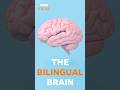 How bilingualism boosts your brain | BBC Ideas