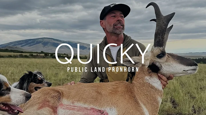 Quicky | New Mexico Rifle Antelope Hunt | Public Land Pronghorn | The Mountain Project