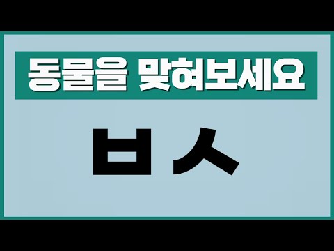 초성 퀴즈 동물편 단어 테스트 20문제 뇌훈련 게임 자음퀴즈 치매테스트 