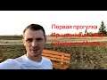 НОВЫЙ #VLOG пришёл контейнер оформили машину и прогулка у озера