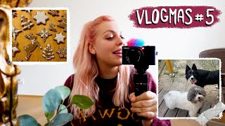 VLOGMAS #5 *nový foťák, pečení cukroví, našla jsem psa 🎄VÁNOCE S ANY