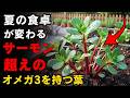 スベリヒユ―サーモンよりも多くのオメガ3を含むたった一枚の葉！雑草だと思われてきた“スーパープラント”が、毎日の健康を支えてくれる。 | 空海の教え | スベリヒユ | 健康 | オメガ3 | 野草