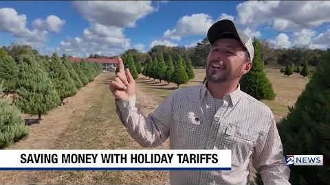 Tariffs Driving Up Prices On Christmas Trees, Decor, Lights. Here