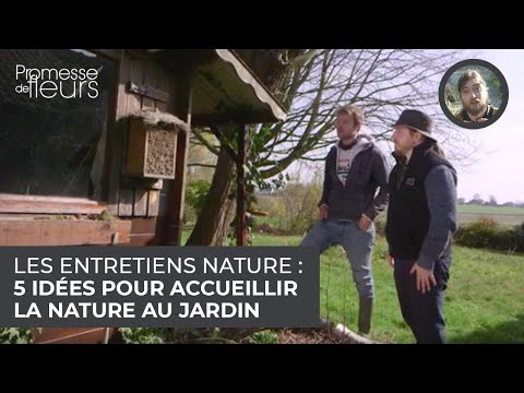 Vidéo: Oiseaux creusant des trous dans les pelouses : pourquoi les oiseaux creusent-ils dans l'herbe ?