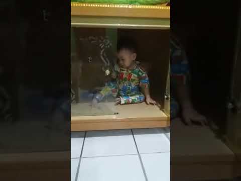 Anak kecil  ke jebak di lemari  kaca  YouTube