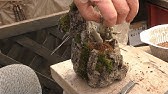 軽石でミニ盆栽鉢アート Mini Bonsai Pot Art With Pumice Stone Youtube 軽石でミニ盆栽鉢アート Mini Bonsai Pot Art With Pumice Stone Youtube