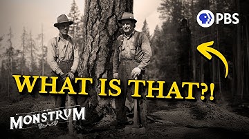 What Lumberjacks Fear Most in the Deep Woods