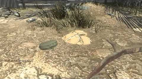 call of duty black ops glitch en firing range