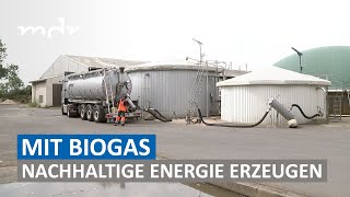 Aus Abfällen wird Kraftstoff: Biogasanlage soll nachhaltig Energie erzeugen | MDR um 4 | MDR