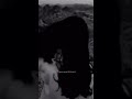 تخيلتك تجي يمي