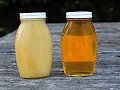 Как растопить засахаренный мед в домашних условиях? мед для канди