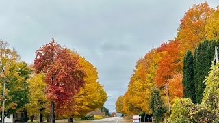 Fall / Autumn Walk Through our Neighbourhood