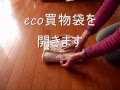 eco2_0001.wmv