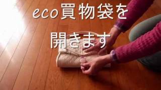 eco2_0001.wmv