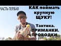 КАК ЛОВИТЬ БОЛЬШИХ ЩУК.как ловить щуку в коряжнике
