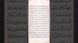 تفسير السعدي صفحة 144 سورة الأنعام من الاية (125) الى الاية(130)