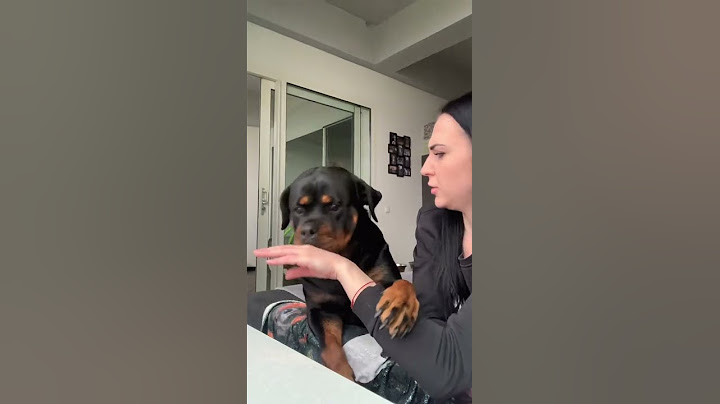 I pretend she bit me, her reaction was priceless rottweiler apologized in her own way 😂🥰 #Shorts