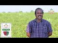 Farmer testimonial on nch6319 guntur wonder f1 hybrid chilli seeds lakshminarayana