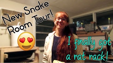 New Snake Room Tour & I Got a Rat Rack! | Ball Pythons 101 | Reptile Room Tour