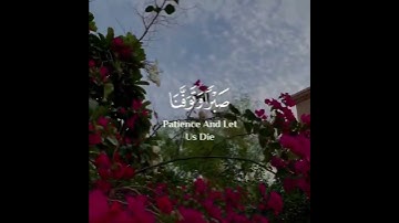 تلاوة هادئة جميله جدا 🥺🤍تذهب عنك الحزن🥺🤍قران كريم بصوت جميل جداً