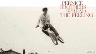 Video thumbnail of "Pernice Brothers - Mint Condition"